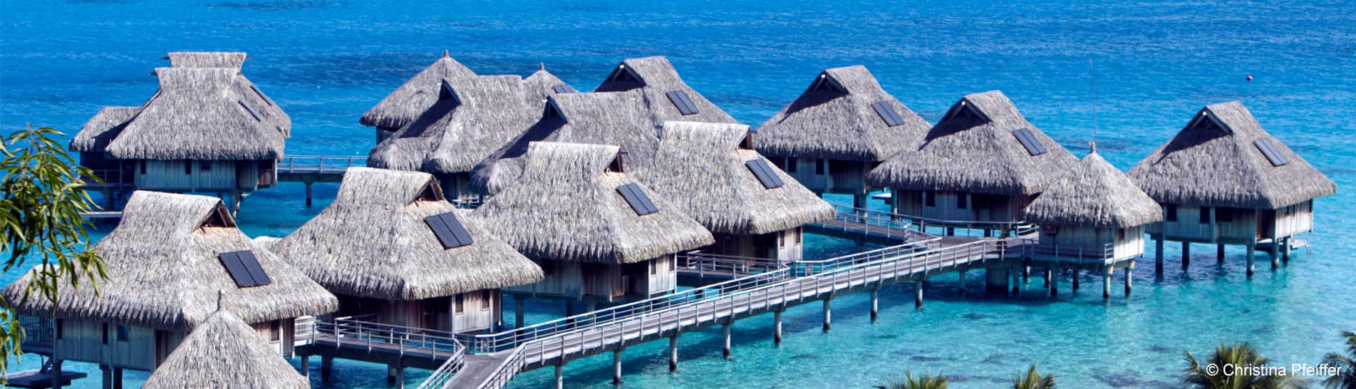 Tahiti Christina Pfeiffer.jpg